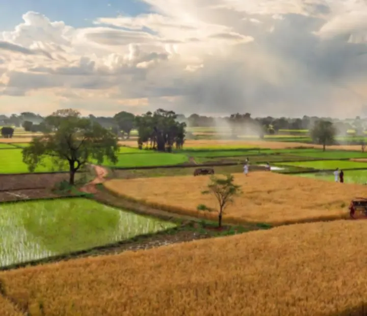 Paysage rural indien avec champs et météo changeante